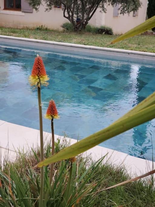 Reve En Luberon Villa Lauris Ngoại thất bức ảnh