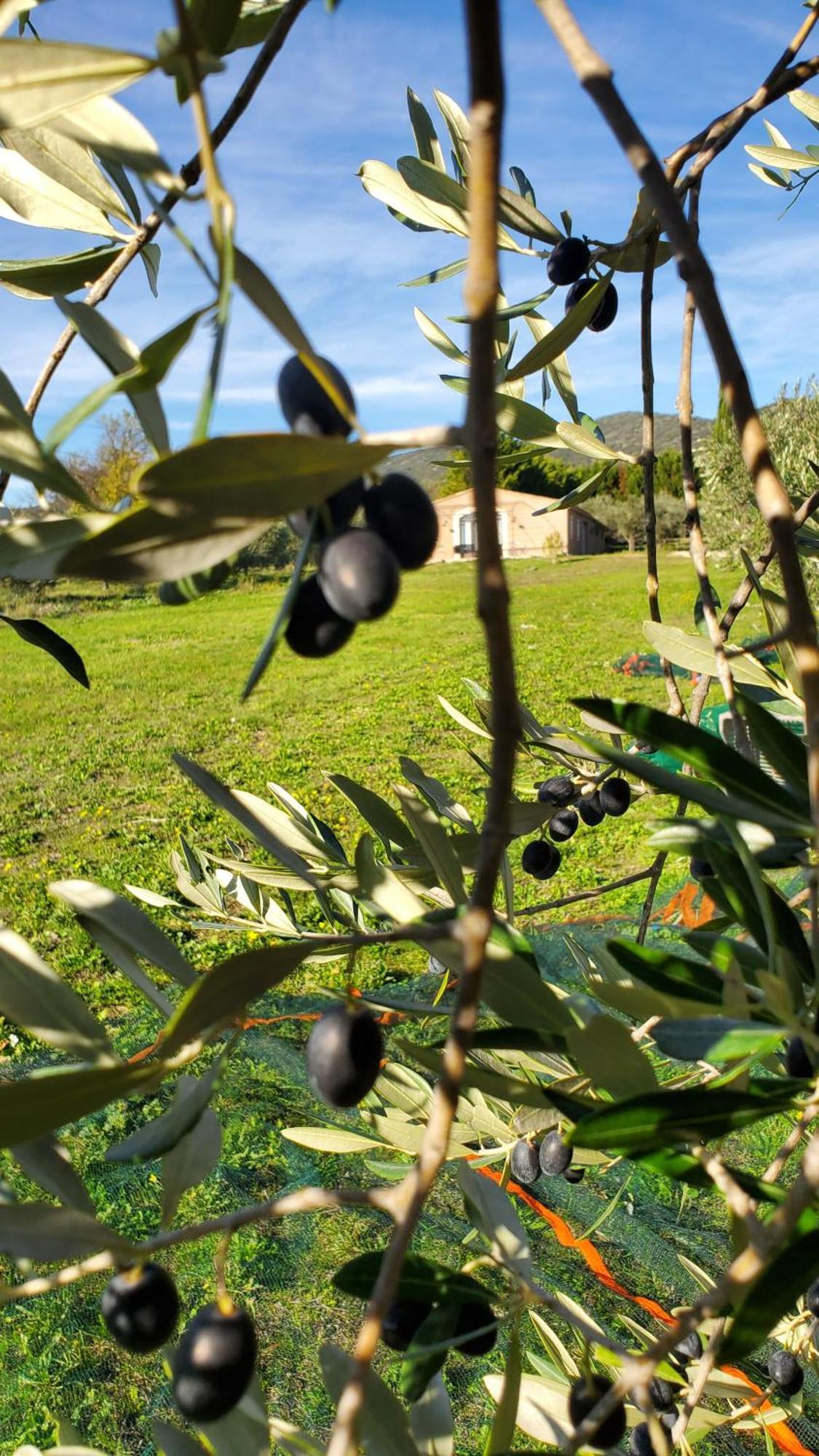 Reve En Luberon Villa Lauris Ngoại thất bức ảnh