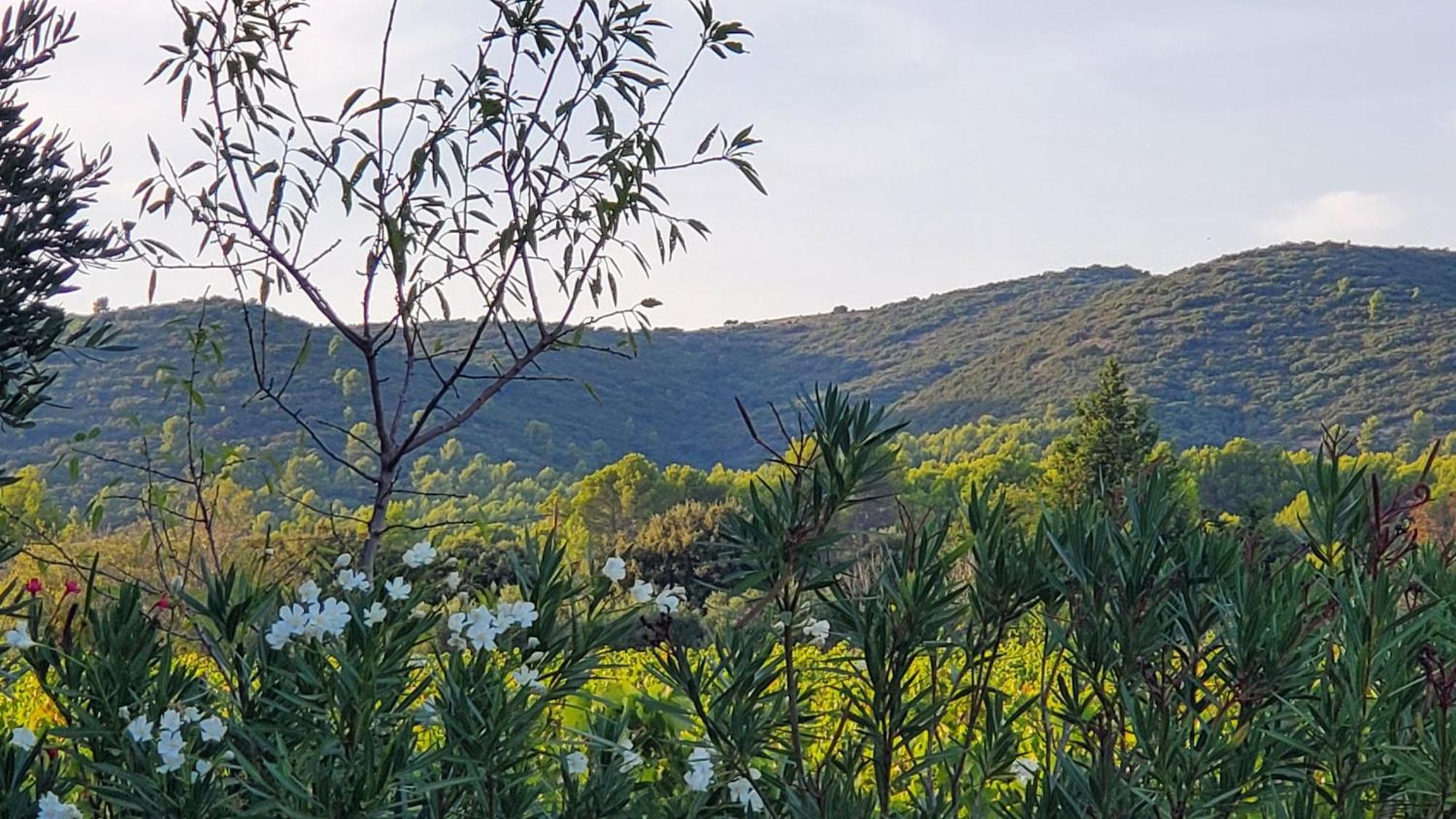 Reve En Luberon Villa Lauris Ngoại thất bức ảnh